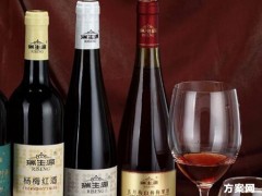 果酒产品新年促销活动方案策划书