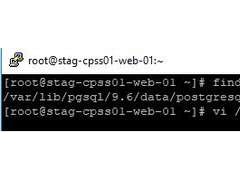 解决PostgreSQL 执行超时的情况