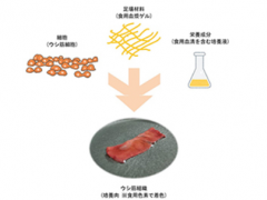 日本首次制成可食用培养肉 称将成吃肉新选择