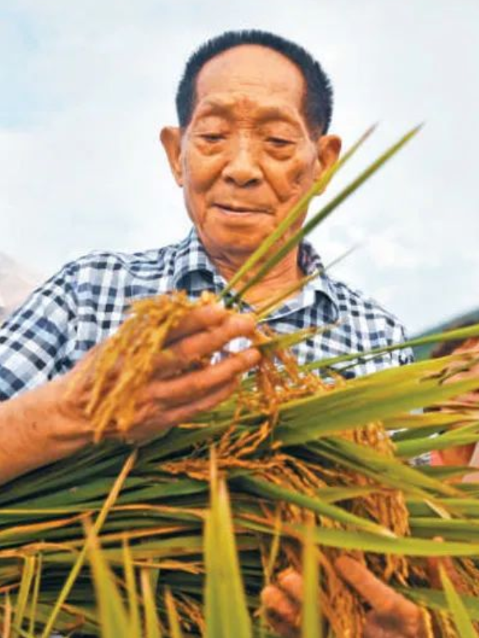 袁隆平（资料图）陆波岸 摄/新华社