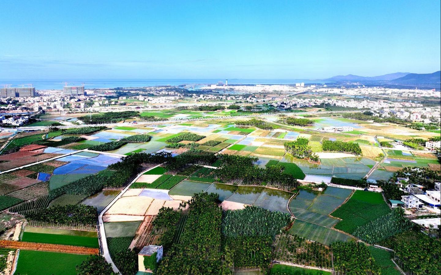 南繁科研育种基地。受访者供图