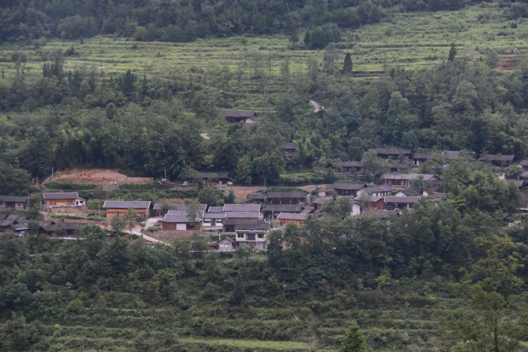 柏香村  图：秀山全媒体