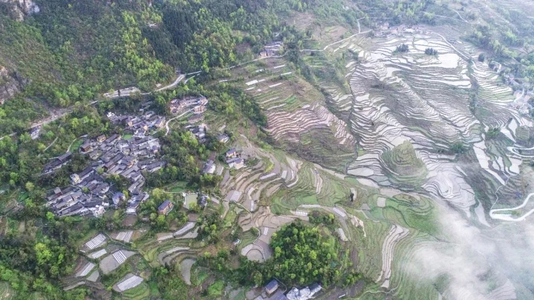 何家岩村  酉阳县委宣传部供图