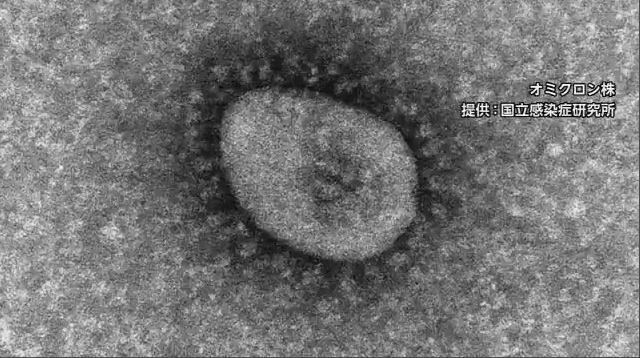 奥密克戎毒株。（日本新广岛电视台）