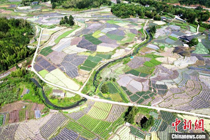 俯瞰大湖乡新塘村蔬菜种植基地，宛如大地调色板。　王东明 摄