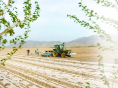 世界粮食危机隐现两大负面因素叠加 听新疆农户讲述今年春耕