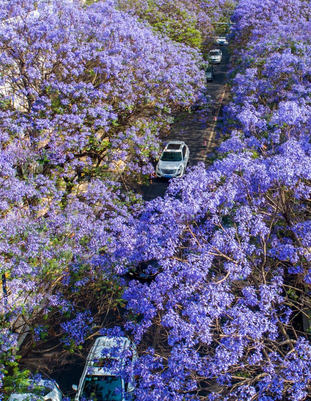 陈欣波 摄