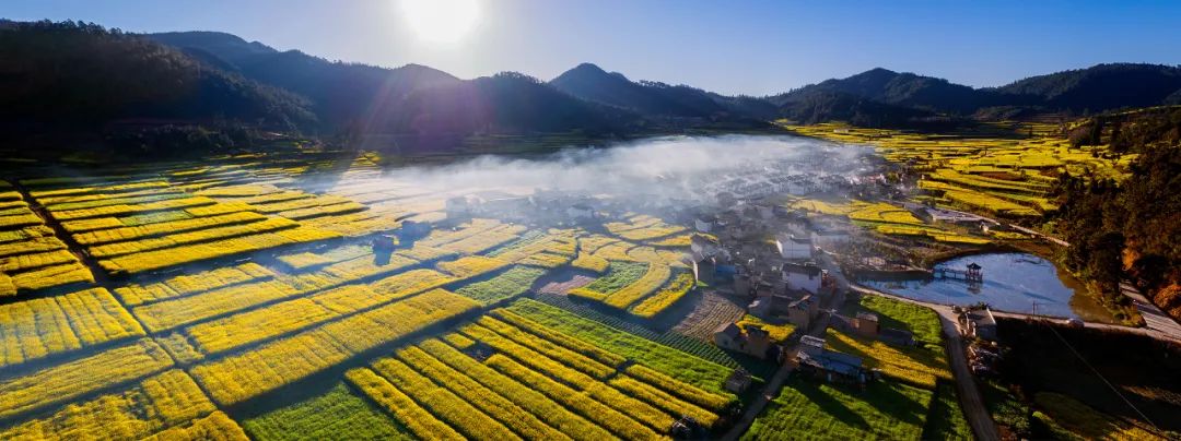 陈建伟 摄