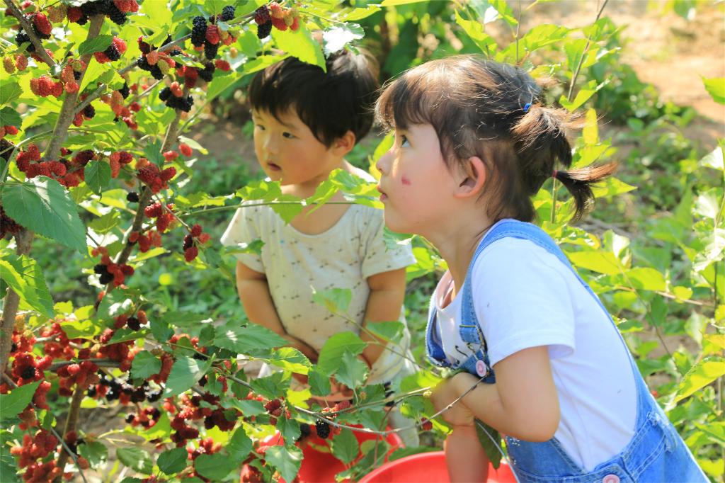 5月22日，学生们在菁盛桑蚕基地研学。（受访者供图）