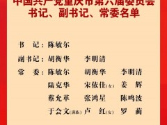 陈敏尔当选重庆市委书记