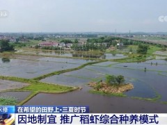 因地制宜 江西永修打造特色产业链带动当地群众就业