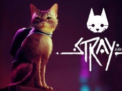 猫咪冒险《Stray》PC配置需求公布 7月19日正式发售