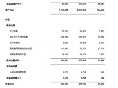 洪恩公布2022年第一季度未经审计财务业绩[1]